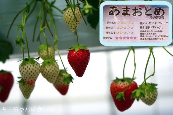 824D7FF4-918F-4B54-9896-91CF8E63A341