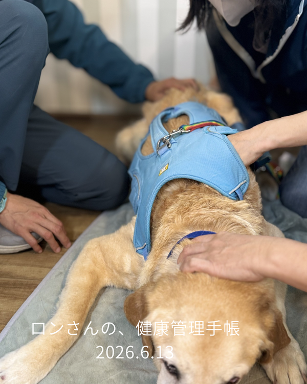 ロンさんの、健康管理手帳 - 2