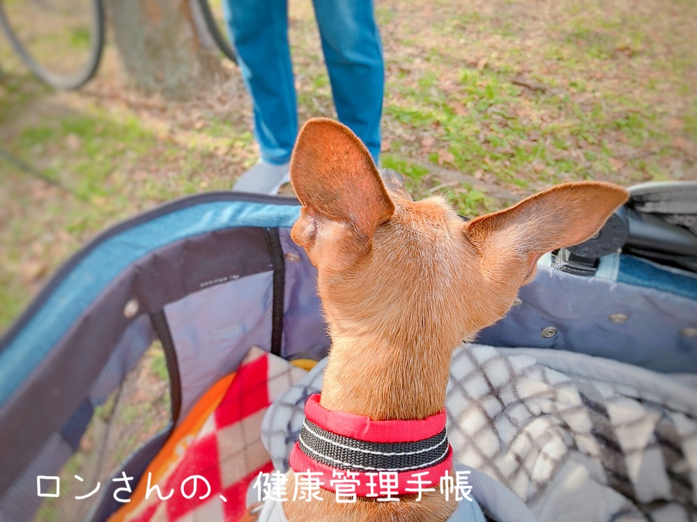 とにかく、歩いた。。。わんずの日 ロンさんの、健康管理手帳