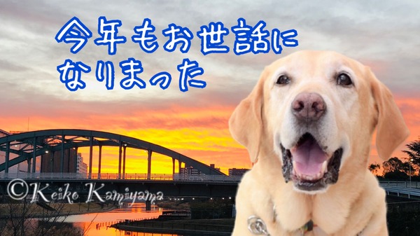 293B3D13-C732-4339-B7AD-2EDC034A79C0
