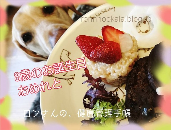 20170124 ロン誕生日 8歳