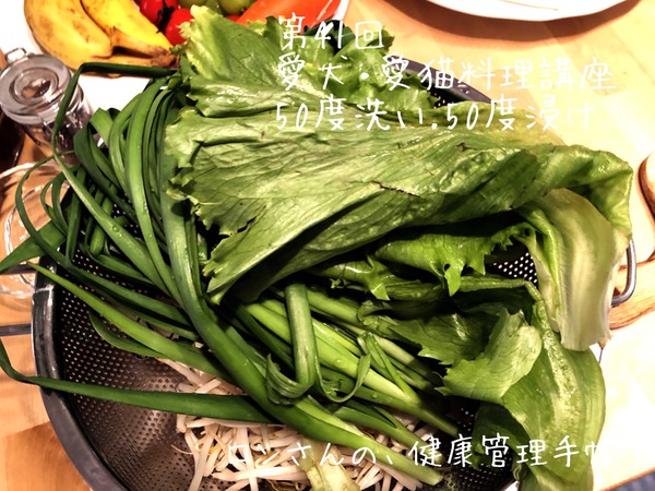 20191103入門&41回 (29)