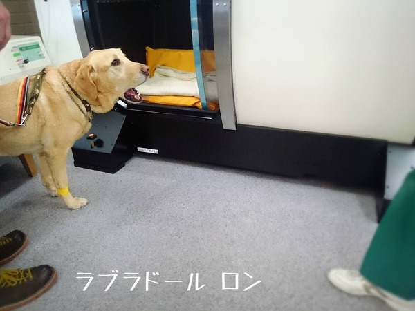 20160126 十字靭帯 みなとよこはま 初診 91