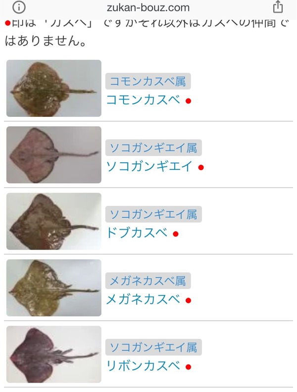 FC0AFF1D-B47A-4AD0-840D-34340AF599A7