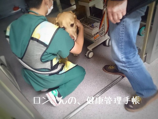 20160126 十字靭帯 みなとよこはま 初診 3