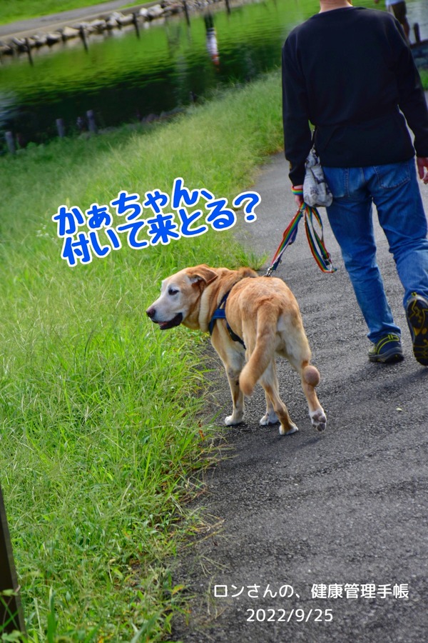 9C44DF36-0027-4FAC-A81A-87DF13AFA897