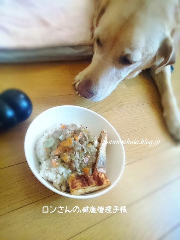 20151007 ロンご飯 留守番 1