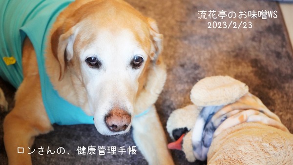 87018337-EAAD-4B63-A50D-892AAAE16CB8