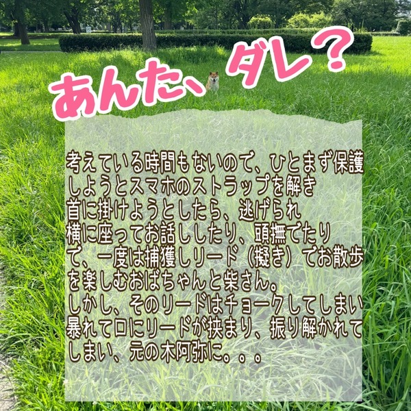 20240719 (5)