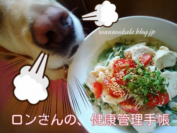 20160515 お肉多めの ロンごはん 6