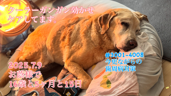 F145355B-736A-465B-97FC-0426F32CF453