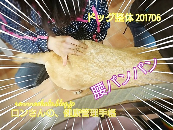 20170615 整体&トレーニング 4