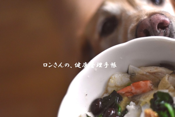 20180101 お節ごはん 1 1