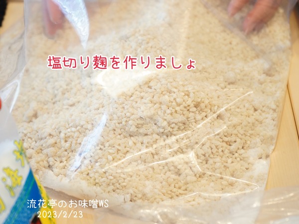 0FACD005-A116-40BB-A8BC-D2602B6AE96A