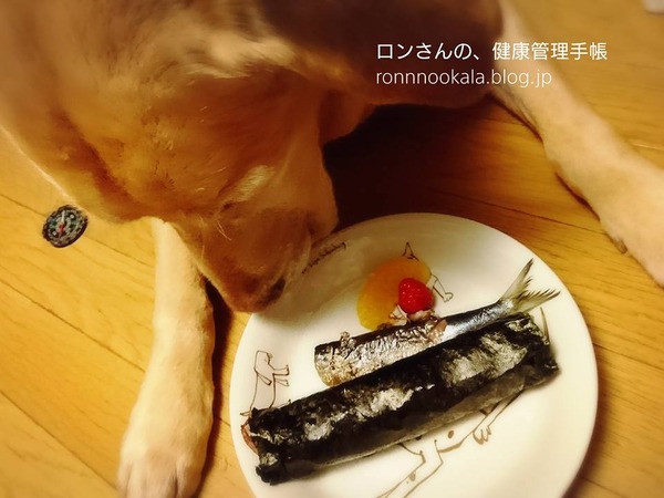 20170203 わんこだって、恵方巻き 2017 6