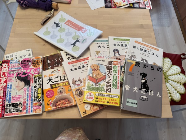 20241112 入門講座 (1)