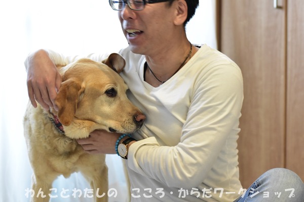 20190512 わんことわたしの・こころとからだWS (24)
