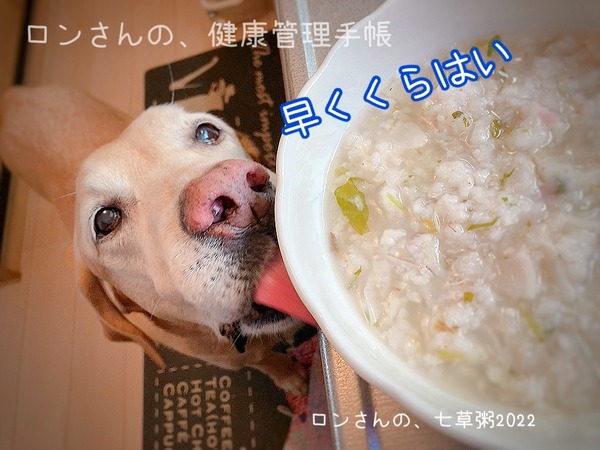EC09B2E1-29E7-4DB4-B2F9-78BAC04D8312
