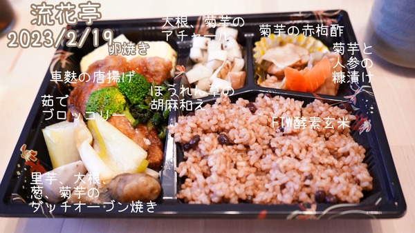20230219 Akie産の星読み (29)