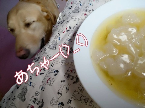 20150825 葛練 2