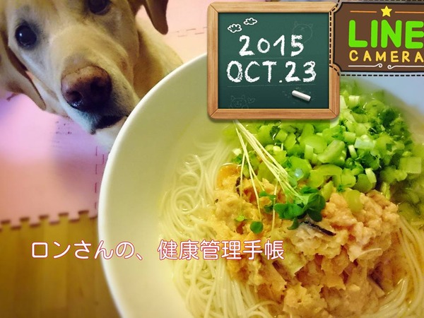 20151023 あるもの犬ごはん 1
