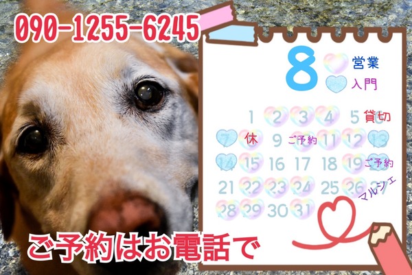 668D9234-F004-431A-AC93-509AFFAAE13B
