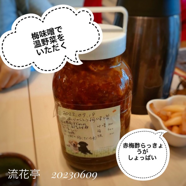 B2871E3E-E18D-4CB9-BA0C-729315C27463