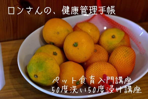 20181104 入門50度91