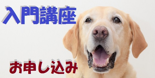 入門講座 お申し込みバナー