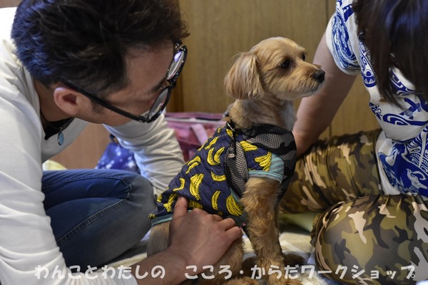 20190512 わんことわたしの・こころとからだWS (55)