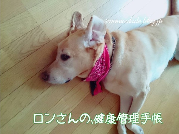 20160728 留守番ごはん 2