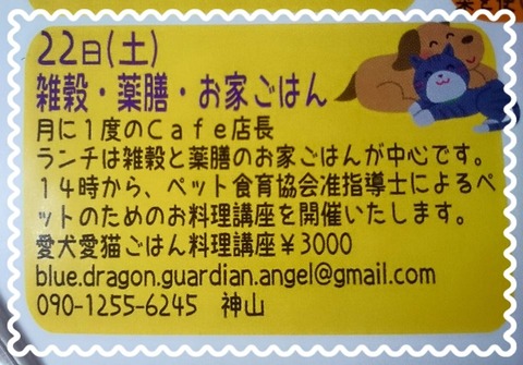 8月22日 第5回【愛犬・愛猫ごはん料理講座】