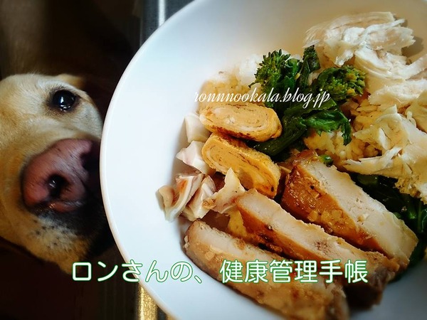 20160121 肉多め 3
