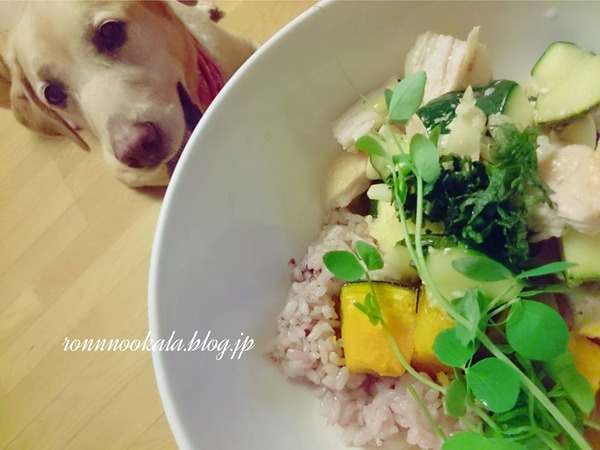 20160803　鶏肉味噌漬け　雑穀ごはん　４