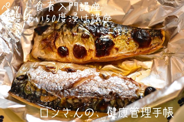 20181104 入門50度3