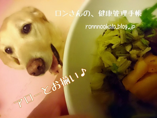 20151008　鰤照り丼　４