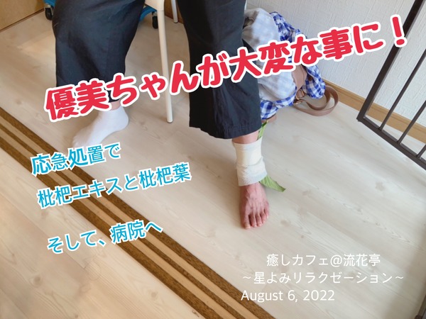 BD5856F0-77D7-4A99-9172-C590F169F733