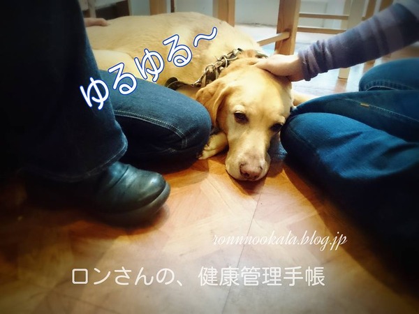 20160112 ドッグ整体 2