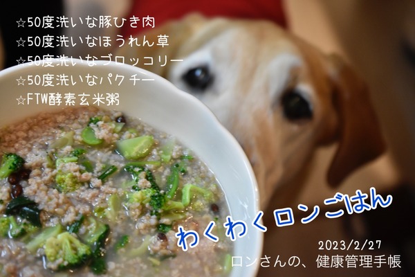 20230227 入門　50度 (4)