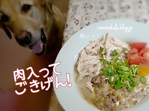 20150828 ボスグルコン #犬ごはん #ラブラドール #納豆 2