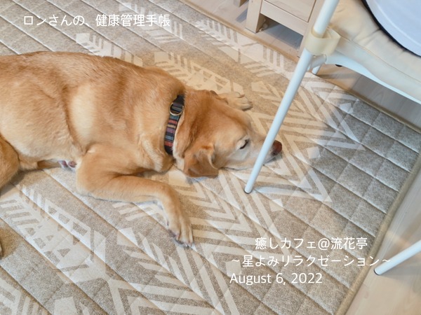 C78ED169-EDAB-4F9B-B730-32627603312C