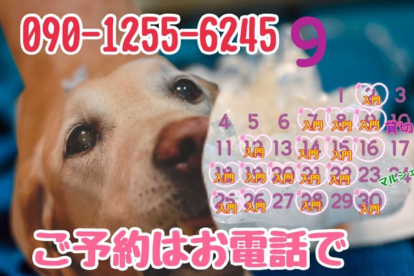 E21633F3-3BD2-4A38-A5FF-1EB183DBB161