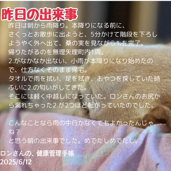 本文を追加