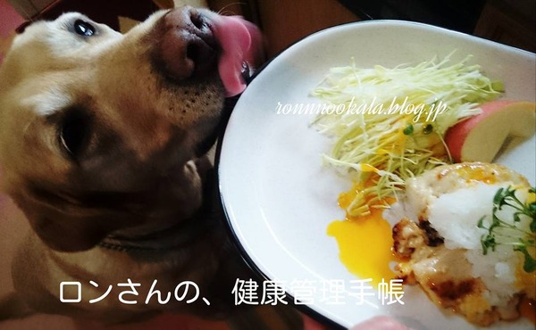 20160401 鶏ムネ 大根おろしの お揃いごはん 2