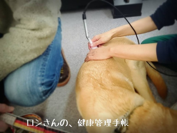 20160126 十字靭帯 みなとよこはま 初診 9
