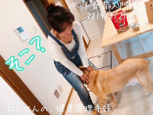 20190921 入門講座 (1)