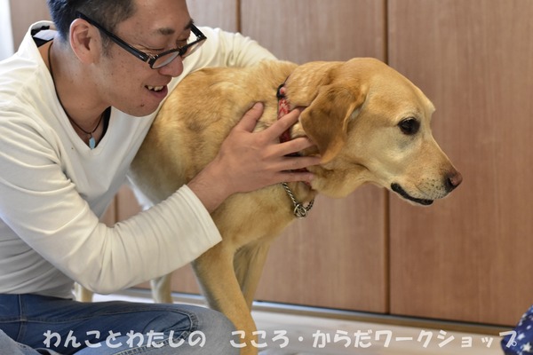 20190512 わんことわたしの・こころとからだWS (29)
