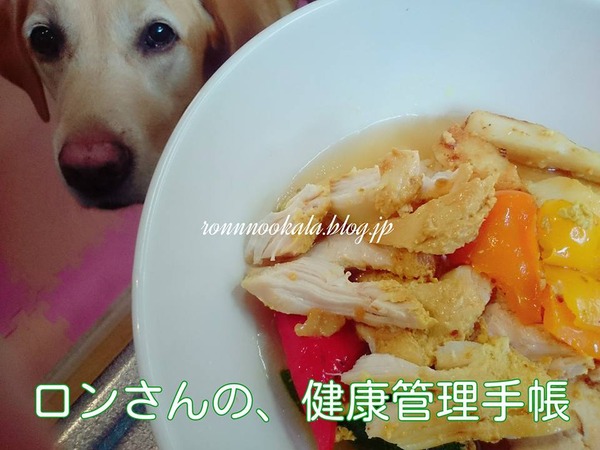 20160715 タンドリーチキン風 2