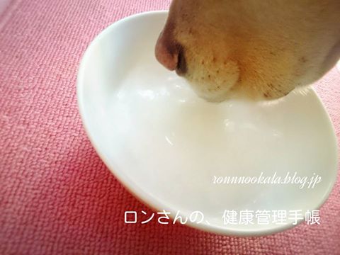 20160301 おはヨーグルト♪ 1
