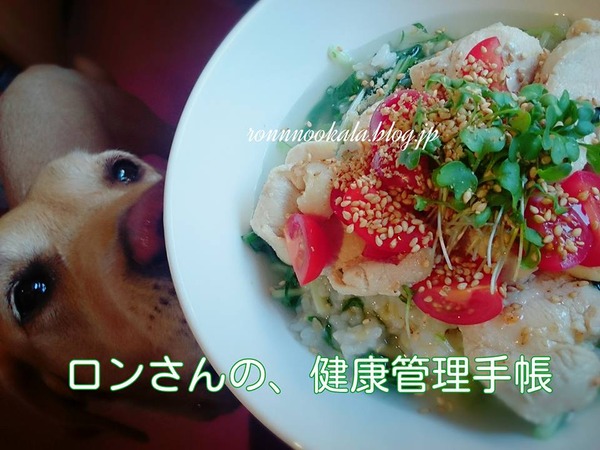 20160515 お肉多めの ロンごはん 2